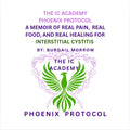 The IC Academy Phoenix Protocol - A Memoir of Real Pain, Real Food, and Real Healing